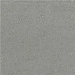Anshu Alta Zinc