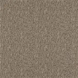 Vezzano Flax