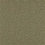 Vezzano Grass