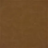 Matara Lucida - Cinnamon Cutting