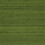 Chinon - Basil Cutting