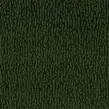 Bourlet Moss