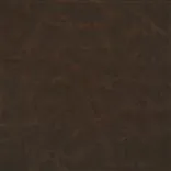 Matara Lucida - Mahogany Cutting