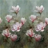 Yulan Magnolia