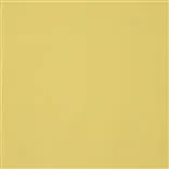 aviano - primrose