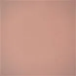 Velluto Pale Rose
