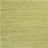 shiruku - acacia