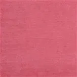 Tarazona - Peony Cutting