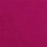 Tarazona Fuchsia