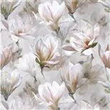 Yulan Birch