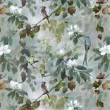 Maple Tree - Celadon Cutting
