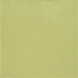 ernani - moss