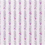 Pansy Stripe - Crocus Cutting