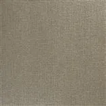 tsuga - driftwood
