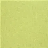 tsuga - acacia