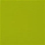 Salt Marsh Lime