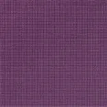 tolmer - viola