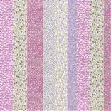 Forget Me Not - Crocus Cutting