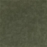 iribe - bronze