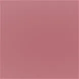 Tiber - Rose Cutting