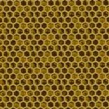 Manipur Ochre