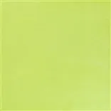Mezzola Lime - Cutting