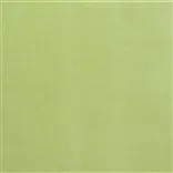 varese - leaf