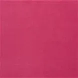 Varese fuchsia - Cutting