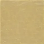 arizona - gold