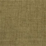 catalan - hazel