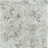 Tarbana Oyster