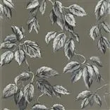Jangal Zinc