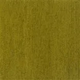 genova - olive
