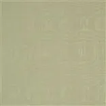 chinaz - pumice