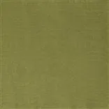 chinaz - pine