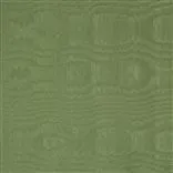 chinaz - grass