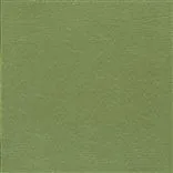 striato - cypress