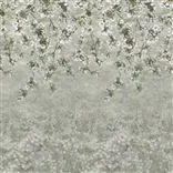 Assam Blossom Platinum