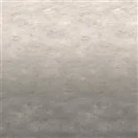 Chettinad Platinum Cutting