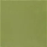 ravello - leaf