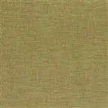 bassano - nutmeg