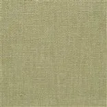 trento - angora