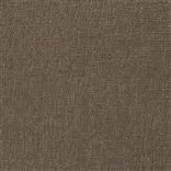 trento - acorn