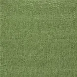 trento - basil