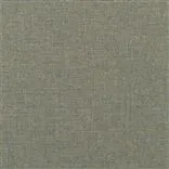 Watkin - Quercus Cutting