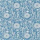 Shaqui Cobalt
