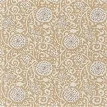 Shaqui Gold
