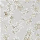 Fleur D Assam Pearl