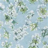 Fleur D Assam Sky