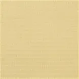 ellon - champagne